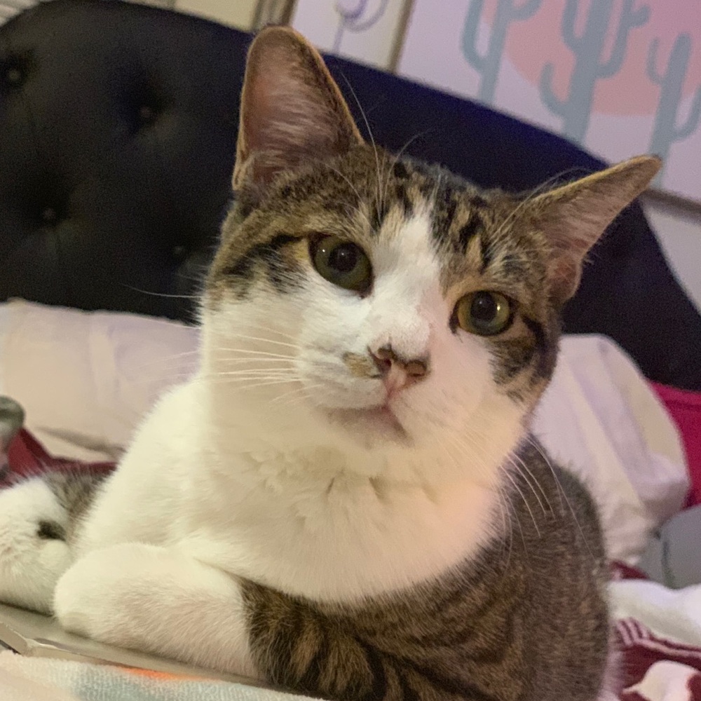 Meet your Posher, Rebecca